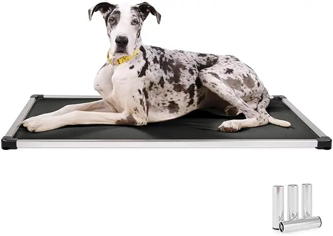 Chew Proof Armored Padded Dog Crate Bed, Virtually Indestructible, Legs Included Sandstone, X-Large