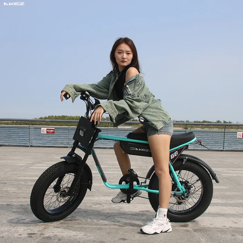 US Stock 🔥 AKEZ 750W Retro Electric Bike - 48V 13Ah Battery, 20'' Fat Tire E-Bike, Vintage Style Bicycle for Adults