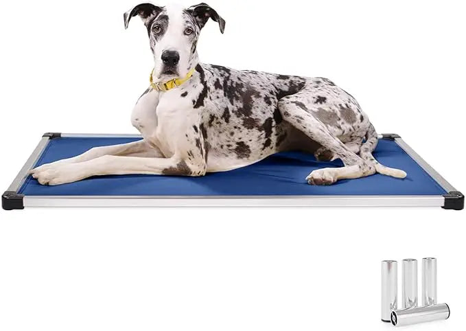 Chew Proof Armored Padded Dog Crate Bed, Virtually Indestructible, Legs Included Sandstone, X-Large